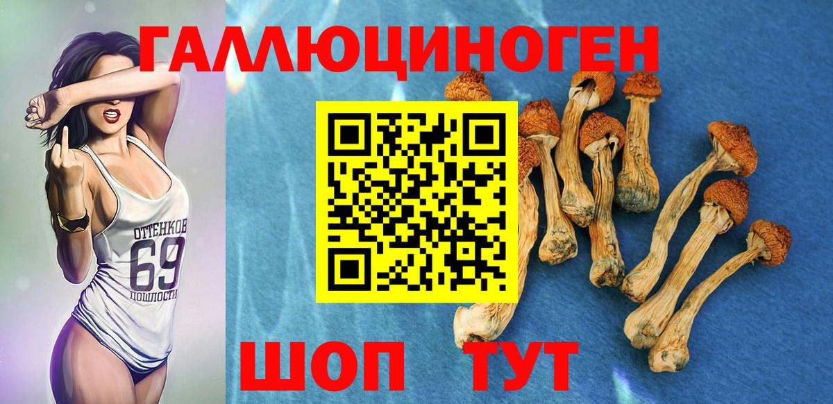 Псилоцибиновые грибы мицелий  Вход с VPN  Орехово-Зуево 