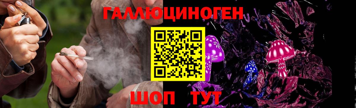 Псилоцибиновые грибы прущие грибы Орехово-Зуево